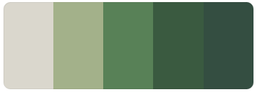 الألوان والخطوط